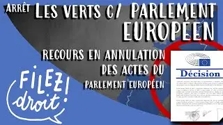 Arrêt les verts contre Parlement européen, CJCE, 23 avril 1986, recours en annulation contre le PE