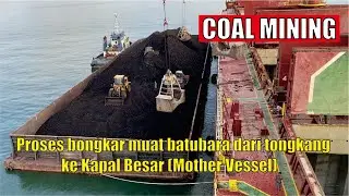 proses bongkar muat batubara dari tongkang ke kapal besar mother vessel