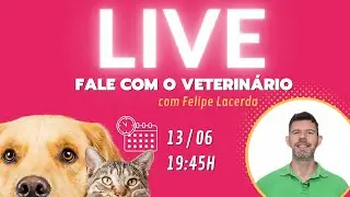 114 | FALE COM O VETERINÁRIO - Live gratuita para você perguntar tudo sobre seu cachorro ou gato!