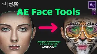 AE Face Tools (by Videolancer) - Videohive/After Effects Template Project
