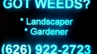 LANDSCAPER, Hesperia, Victorville, Pinon Hills, Oak Hills, Phelan, Lucerne Valley, Silver Lakes