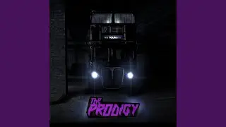 Fight Fire with Fire (feat. Ho99o9)