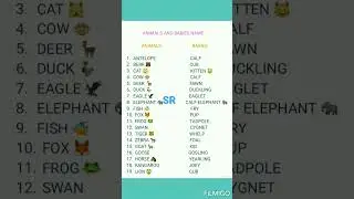 ANIMALS AND BABIES NAMES