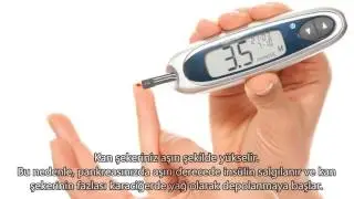 İnsan Anatomisi İle İlgili Videolar