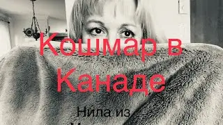 НОВОСТИ ИЗ КАНАДЫ, НОЧНОЙ КОШМАР , УБИРАЕМ СТРЕСС 🌱