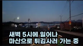 4시간만에 떡볶이 200키로, 튀김 4000개가 팔린다는 마산 새벽시장 튀김집 다녀왔습니다.