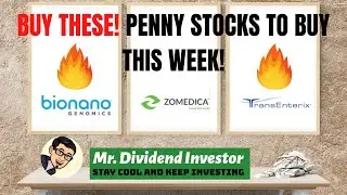BUY THESE NOW! I BEST penny stocks to buy now 🔥🔥🔥 I ZOM Stock I TRXC Stock I BNGO Stock I CAN'T MISS