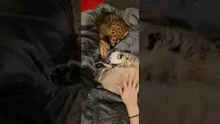 they sleep together but not you