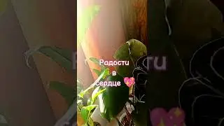 18 февраля 2023 г.