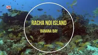 Дайвинг на Пхукете с дайв-клубом DVdiver (Racha Noi, Banana Bay)