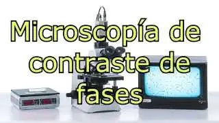 Microscopía de contraste de fases