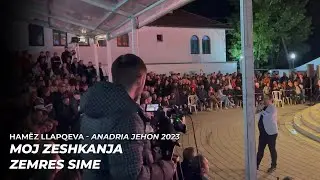 Hamëz Llapqeva - Ndizet atmosfera e madhe ne publik me kengen 