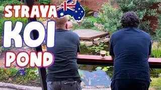 No Grass - Just KOI PONDS Down Under!