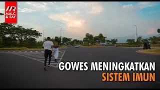 Bersepeda Meningkatkan kekebalan tubuh (Sistem Imun)