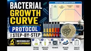 Bacterial Growth Curve Protocol