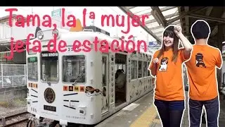 Tama, jefa de estación de Kishi en Wakayama