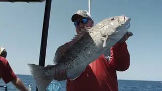 Top 3 Grouper Fishing Mistakes (Are You Making One Of These)?