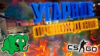 УГАРНОЕ ПРОХОЖДЕНИЕ МИССИИ С ЗЕЛЕНЫМ СЛОНИКОМ! (CS:GO CO-OP)