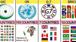How Many Countries Share the Same Alliance Group