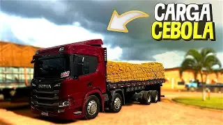 I CARRIED ONIONS TO SÃO PAULO + STAYED 2 DAYS AT CEASA!