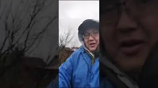 Покемоны вышли на прогулку 😆