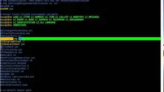 Run Remote X Client