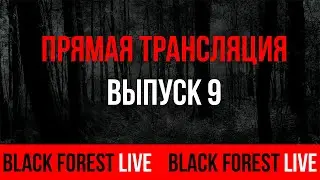 BLACK FOREST LIVE. ПРЯМАЯ ТРАНСЛЯЦИЯ № 9