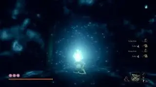 Sekiro Fastest XP farming
