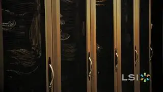 LSI WarpDrive