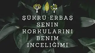 Ayrılık ne biliyor musun | Şükrü Erbaş