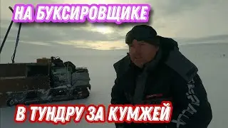На БУКСИРОВЩИКЕ в тундру Кольского. КУМЖА на ЖЕРЛИЦЫ. Проблемы с ТЕХНИКОЙ.