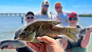 You Won't Believe What We Caught!!!