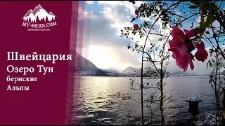 Lake Thun  The Bernese Alps  Merligen Interlaken. Озеро Тун, Бернские Альпы, Швейцария.