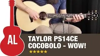 Taylor PS14ce Cocobolo - Wow, listen to this guitar!