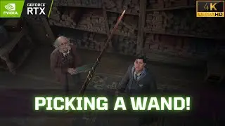 Hogwarts Legacy | Ollivanders Wand Shop! | RTX 4090 4K Ray Tracing Ultra