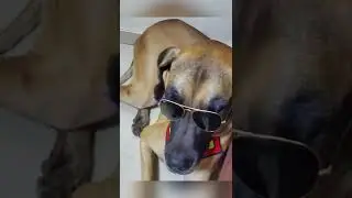 Smoky’s Swag