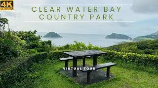 [4K] Take A Virtual Tour Through The Tree Trail At Clear Water Bay Country Park In Hong Kong!