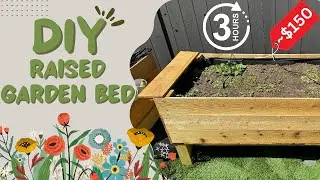 Cheap and Easy Raised Garden Bed Project