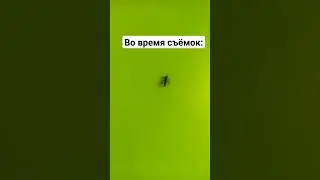 чо я выложила 