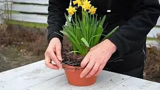 Minimalistic Spring Grave Decoration Ideas: You Can Easily Create This Yourself