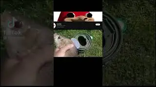 Ноу ноу ноу мистер фиш мем