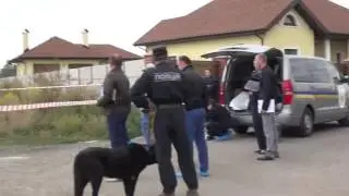 Убийство директора фирмы 
