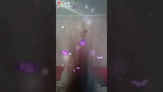 30 сентября 2018 г.