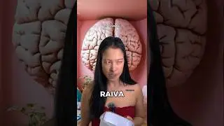 OS DIVERTIDAMENTE DO BR 🇧🇷 KKKKKK #humor