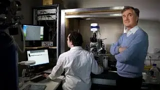Diabetes, A public health issue - EURESEARCH/UNIL