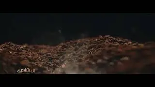 هتعيد اكتشاف نفسك مع كبسولات اسبرسيو من بن شاهين!