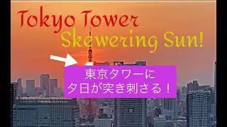Tokyo Tower Skewering Sun!　東京タワーに夕日が突き刺さる！