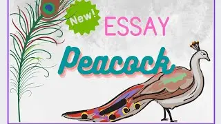 Essay on Peacock/My Favourite Bird/Our National Bird