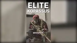 Kopassus Elite Eliminasi 2 KKB Secara Bersamaan