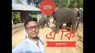 চা_বাগানে_বেড়াতে গিয়ে my tune present